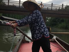 -溱湖国家湿地公园