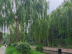 -元大都城垣遗址公园