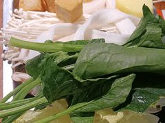 -成老灶火锅鸡(平山店)