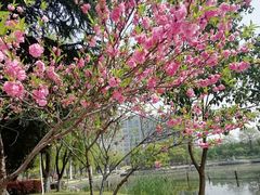 -杭州师范大学(下沙校区)