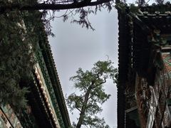 -颐和园