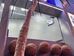 -蔻蔻椰·鲜萃椰子水(COCO Park店)