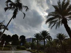 -宝安西湾红树林湿地公园