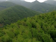 -宁波浙东大竹海景区