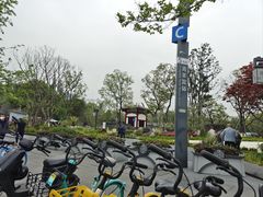 -青羊宫