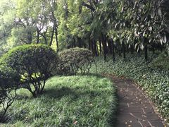 -申粤轩酒楼·三十年粤菜经典(丁香花园店)