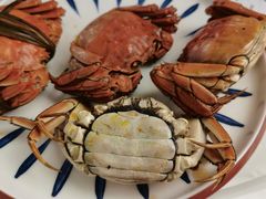 -船说茶点粤菜(海上世界店)