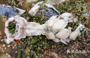 Spicy Green Pepper Frog