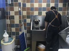 -米卢宠物公园(广华居店)