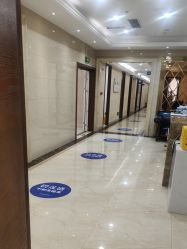 -碧莲盛·不剃发植发