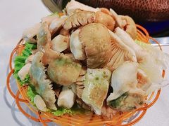 -菌海森林·非遗野生菌火锅(西山区滇池路摩根道店)