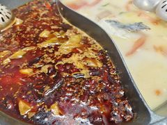 -秦巴石锅鱼(文化南路店)