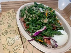 -油梨树 AVOCADO TREE(亮马桥店)