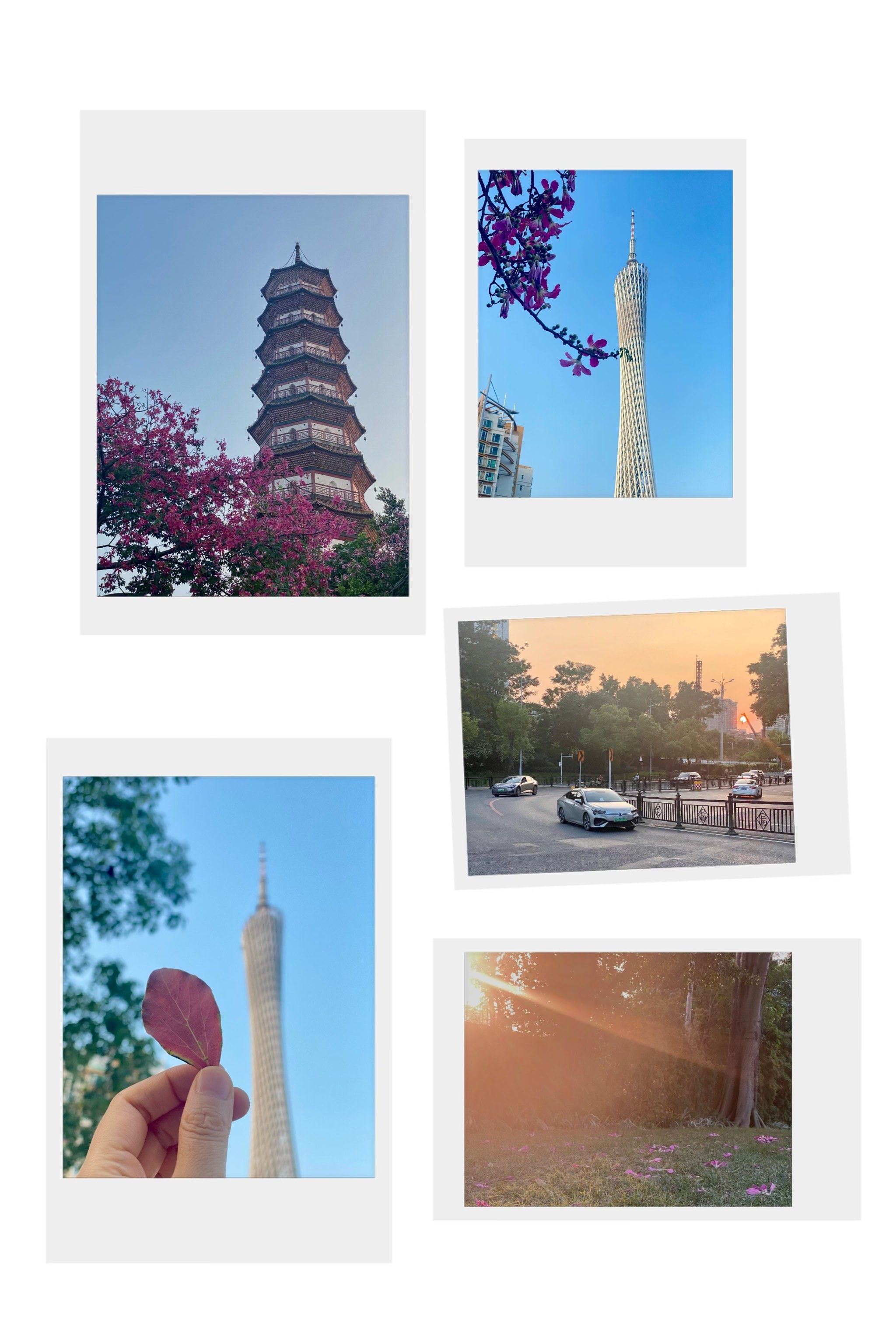 赤岗塔下,广州塔旁,我想捡一片秋天送给你94