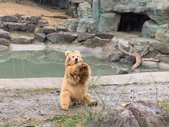 -宁波野生动物园