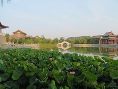 -中国翰园碑林