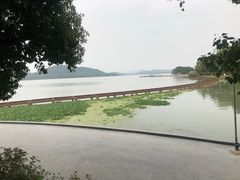 -水上明月·湖景餐厅