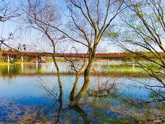 -昆山城市生态森林公园