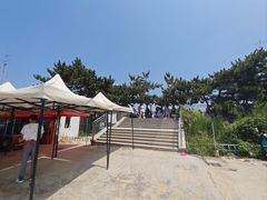 -日照海滨国家森林公园