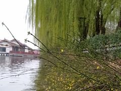 -西安汉城湖景区