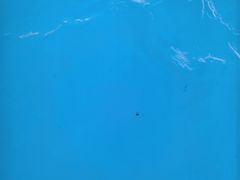 -杭州浪浪浪水公园