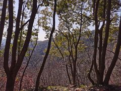 -东山风景区(洞庭东山)
