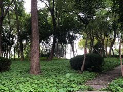 -济南国际园博园