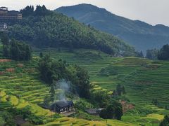 -紫鹊界梯田景区
