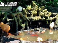 -海南热带野生动植物园
