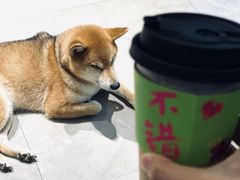 -NOTBAD 须时·咖啡馆