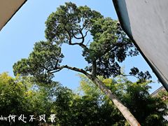-松江清真寺