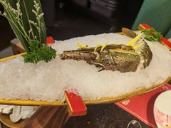 -牛New寿喜烧(闵行龙湖天街店)