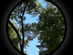 -星海公园(番禺区)