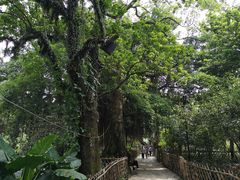 -小洲村