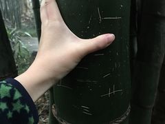 景点-望江楼公园