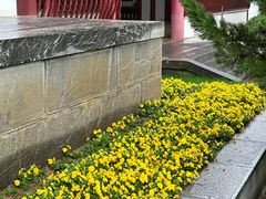 -涵家味土菜馆·徽州一绝臭鳜鱼(三河古镇店)