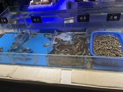 -加餐海鲜自助(宝龙一城店)