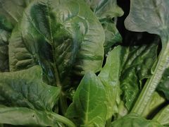 -海底捞火锅(武胜路凯德广场店)