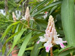 -广州神农草堂中医药博物馆