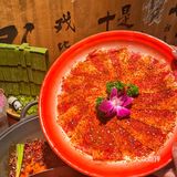 🐼听说花花来深圳了⁉️