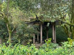 -鼓岭旅游度假区