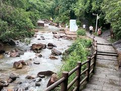 -广州白江湖森林公园