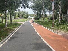 -长春市南湖公园