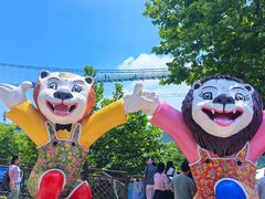 -西霞口神雕山野生动物世界