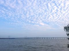 -宝安西湾红树林湿地公园