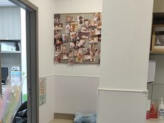 -宠物星动物医院·眼科·异宠·猫科(江南大道总院)