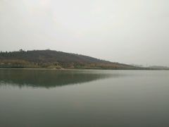 -羊山湖公园