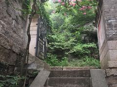 -崂山仰口游览区