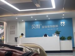 -贝利宠物医院·骨科·眼科·肿瘤转诊中心(南坪诊疗中心)