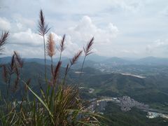 -梧桐山风景名胜区